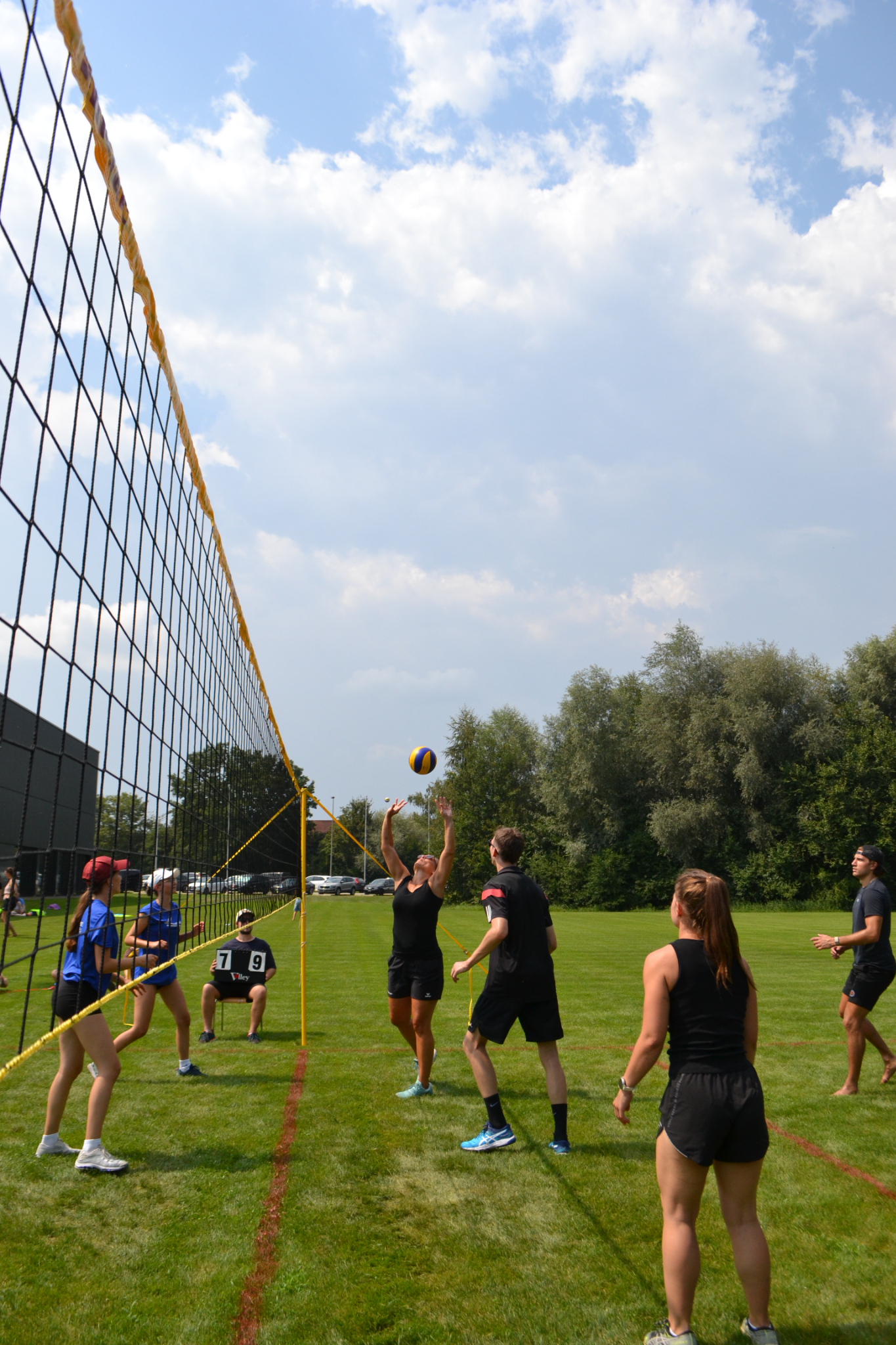 Bild (39)